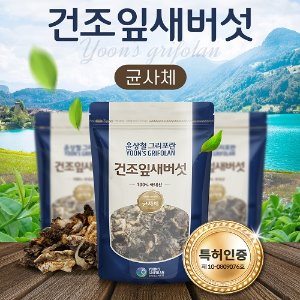 최상품 잎새버섯 균사체(뿌리) 100g(무농약)